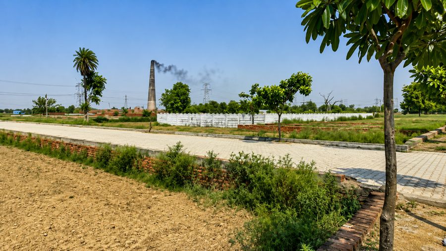 Green belt along NCR AERO City roads